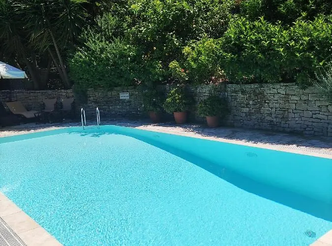 Villa Dendro